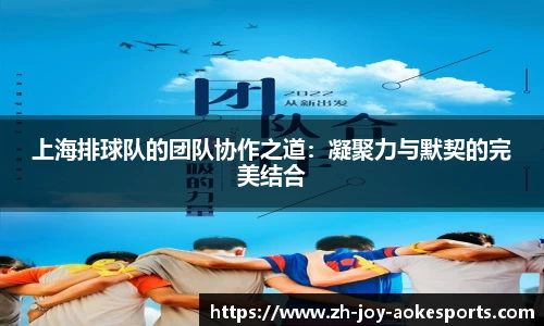 上海排球队的团队协作之道:凝聚力与默契的完美结合