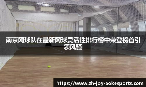 南京网球队在最新网球灵活性排行榜中荣登榜首引领风骚