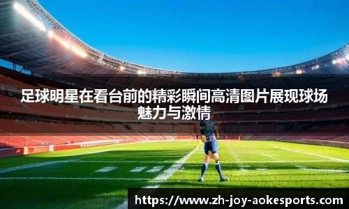 足球明星在看台前的精彩瞬间高清图片展现球场魅力与激情